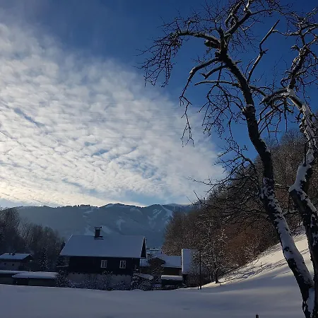 Apartament Haus Gandler Zell am See