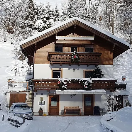 Haus Gandler アパート ツェル アム ゼー